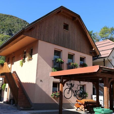 Apartma Na Vasi Apartment Zaga Екстериор снимка