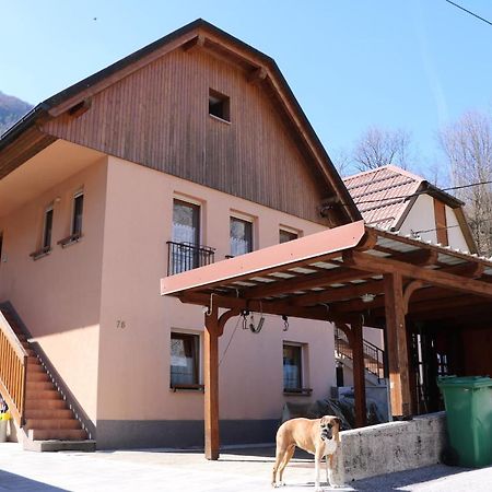 Apartma Na Vasi Apartment Zaga Екстериор снимка