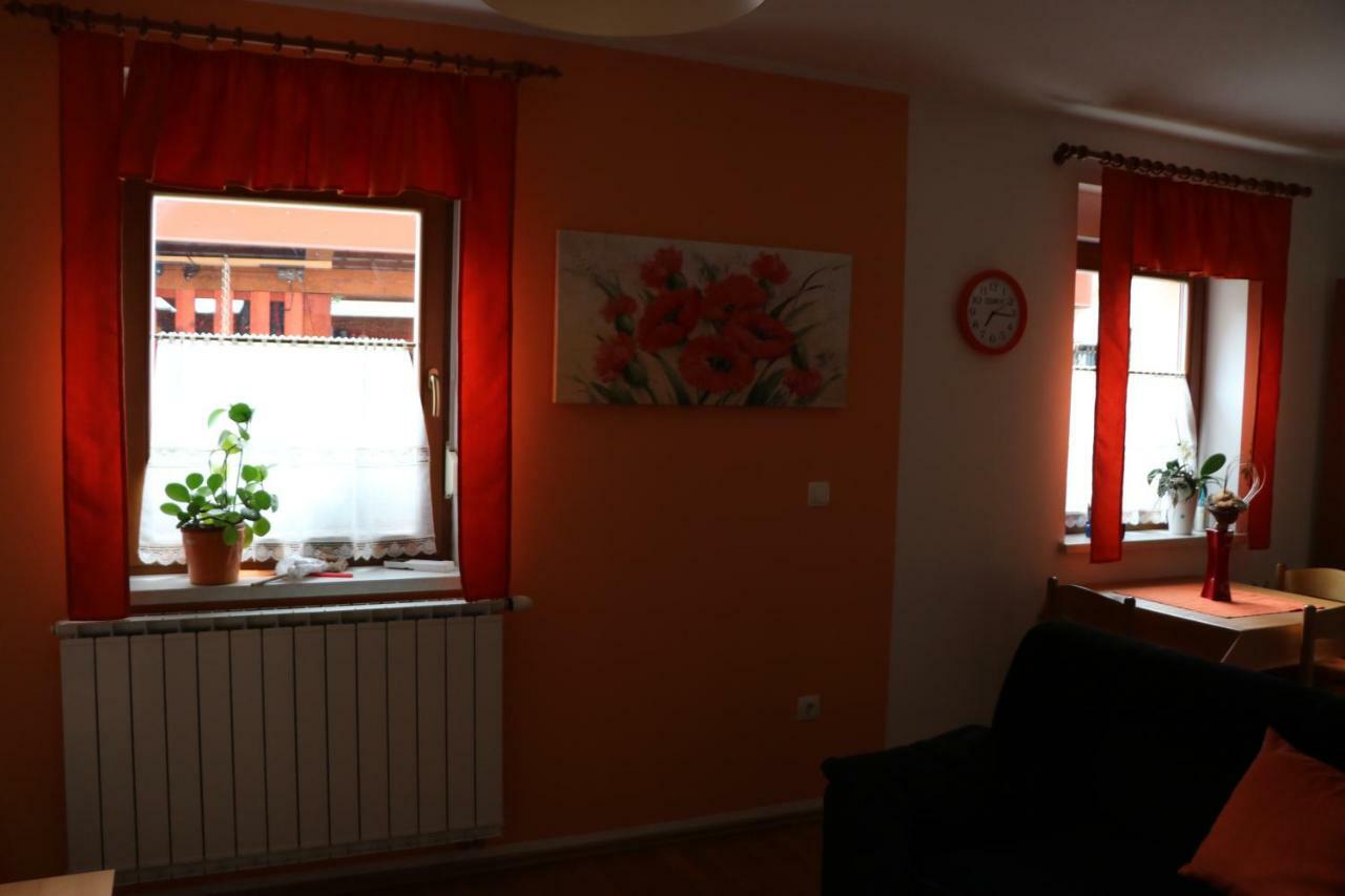 Apartma Na Vasi Apartment Zaga Екстериор снимка