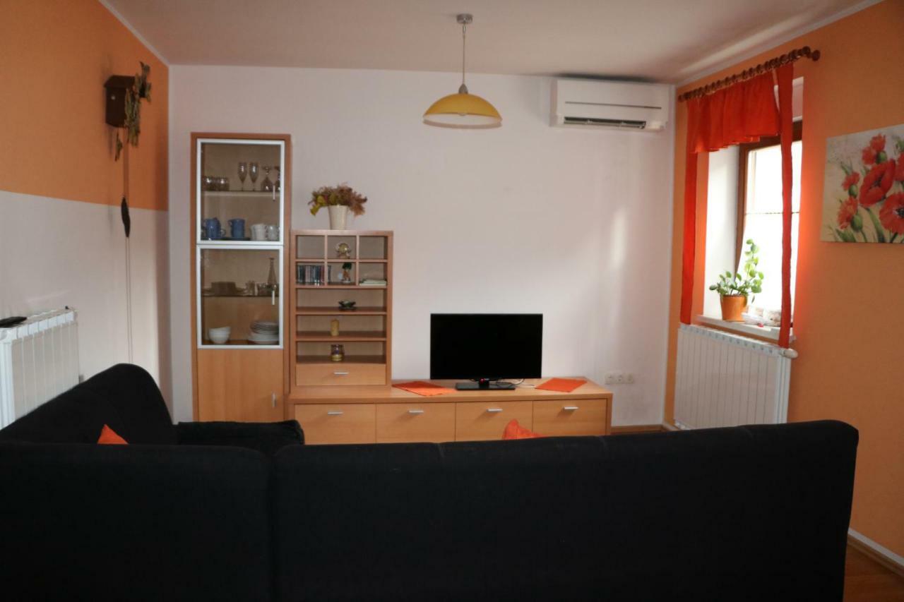 Apartma Na Vasi Apartment Zaga Екстериор снимка