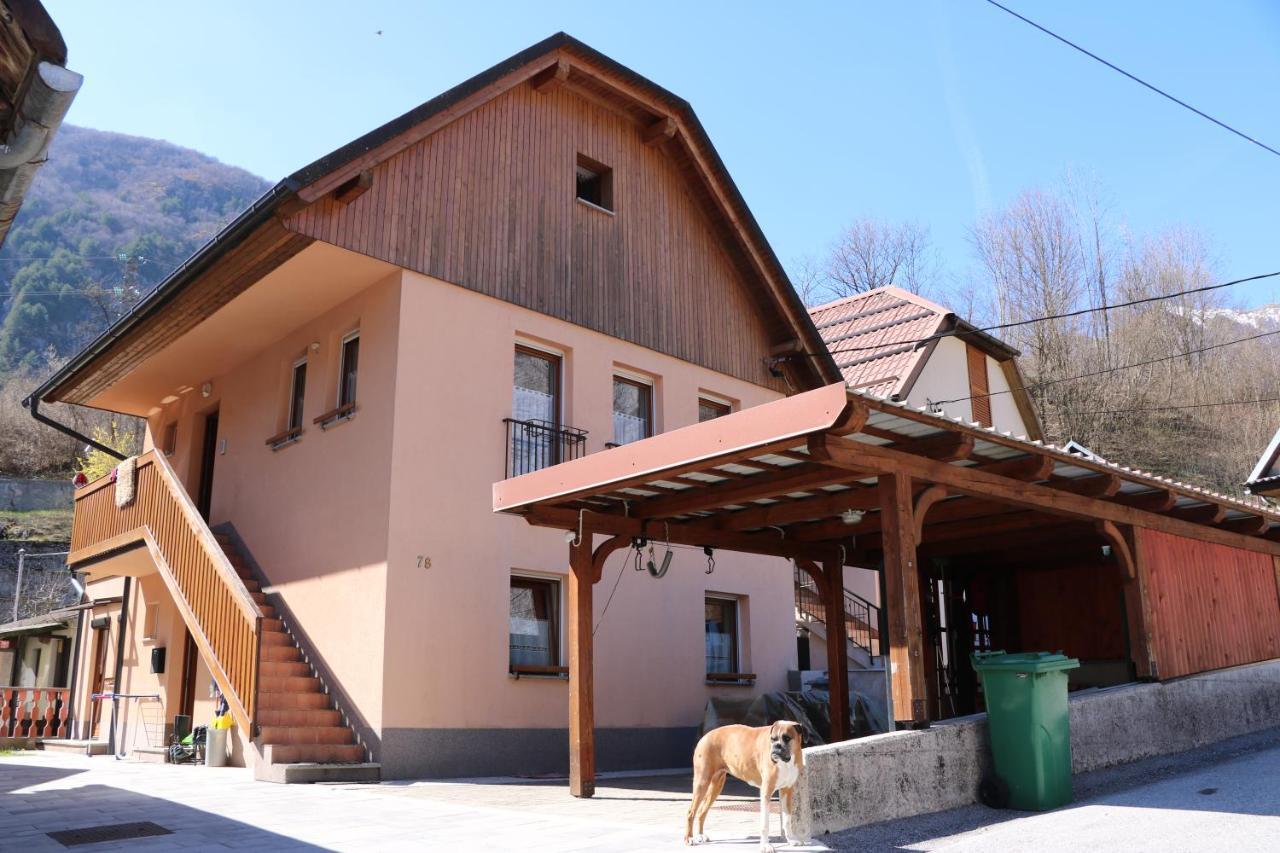Apartma Na Vasi Apartment Zaga Екстериор снимка
